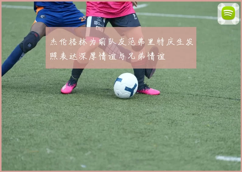 杰伦格林为前队友范弗里特庆生发照表达深厚情谊与兄弟情谊